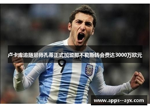 卢卡库追随恩师孔蒂正式加盟那不勒斯转会费达3000万欧元